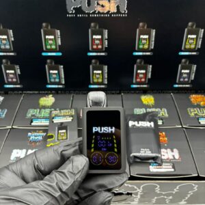 push 2g disposable with screen