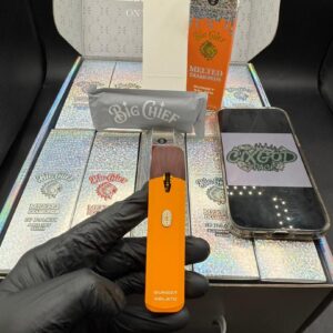 big chief 2g disposable