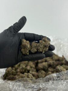 blue nerdz weed strain