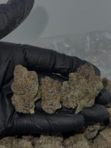 blue nerdz weed strain