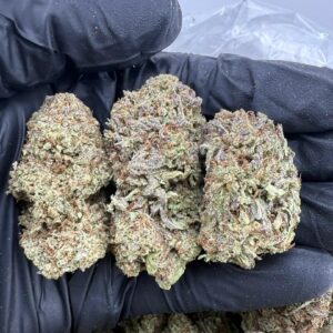 super bacio strain