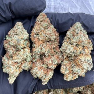 short berry strain
