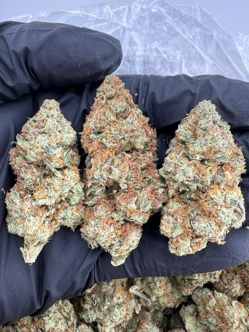 short berry strain short berry strain