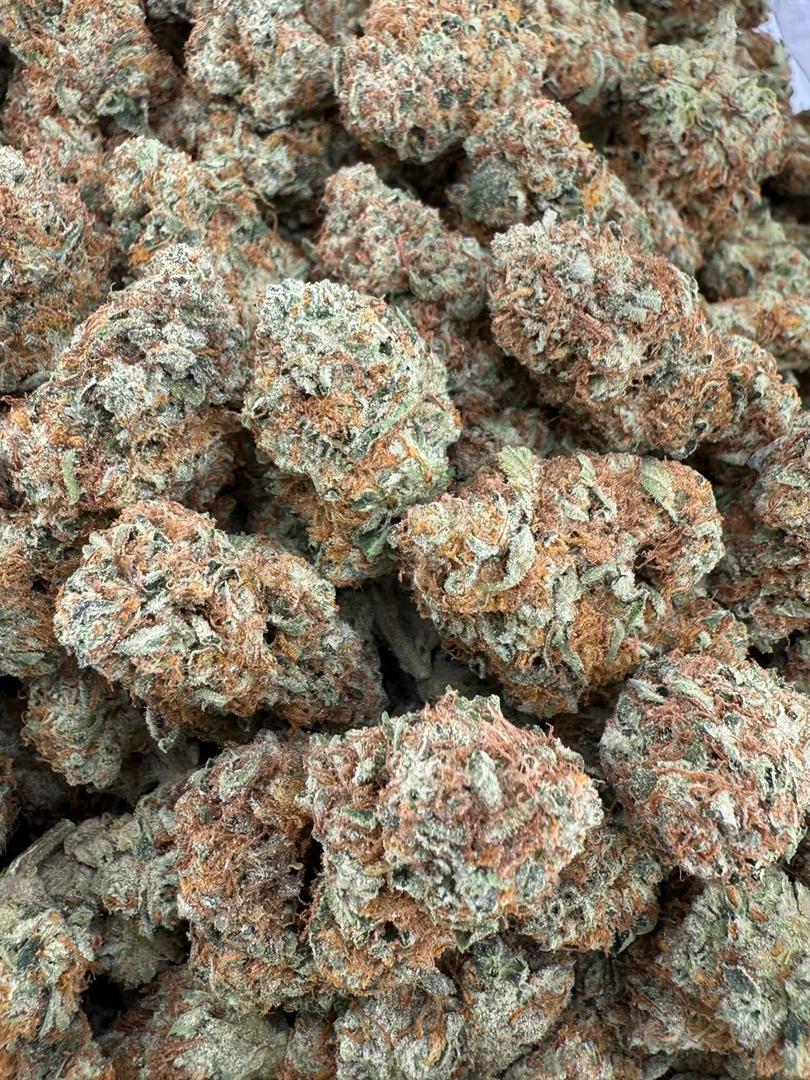 short berry strain short berry strain
