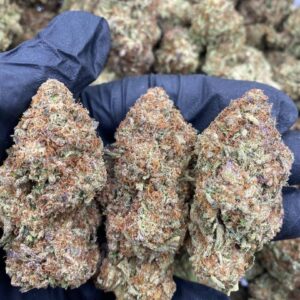 royal kush strain