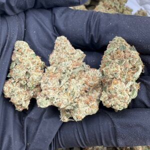 pink kush strain
