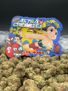 astro cherries strain