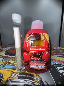 BUY BACKPACKBOYZ DISPOSABLE 2G ONLINE