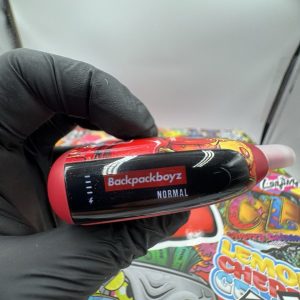 BUY BACKPACKBOYZ DISPOSABLE 2G ONLINE