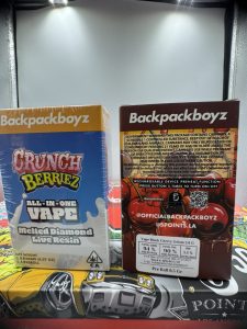 BUY BACKPACKBOYZ DISPOSABLE 2G ONLINE
